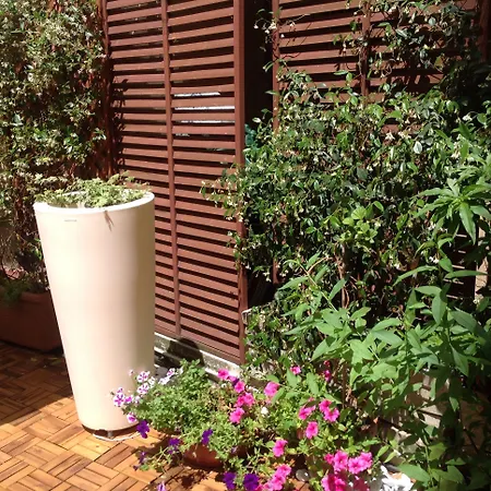 B&B Simonetta Ai Musei Vaticani 로마