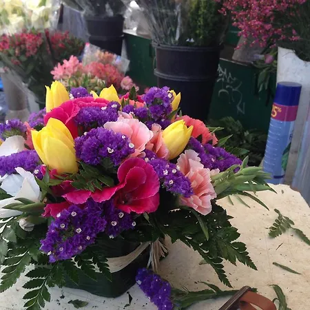 Simonetta Ai Musei Vaticani רומא