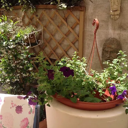 Simonetta Ai Musei Vaticani רומא