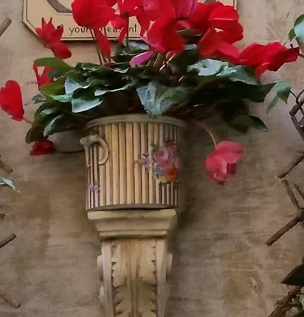 לינה וארוחת בוקר Simonetta Ai Musei Vaticani 2*