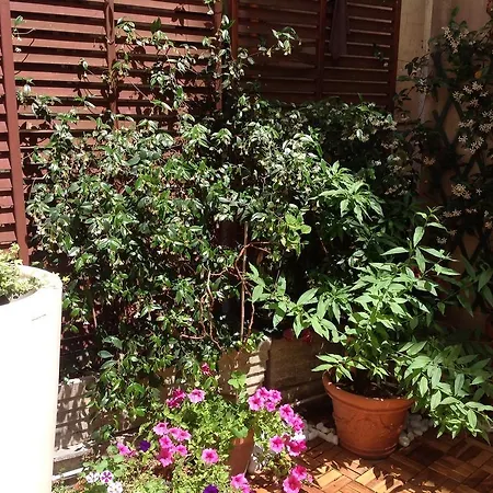 Simonetta Ai Musei Vaticani לינה וארוחת בוקר