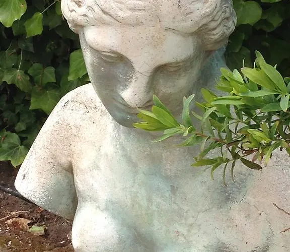 فندق مبيت وإفطار Simonetta Ai Musei Vaticani