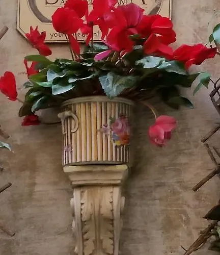 فندق مبيت وإفطار Simonetta Ai Musei Vaticani 2*