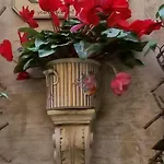 Nocleg ze śniadaniem Simonetta Ai Musei Vaticani 2*