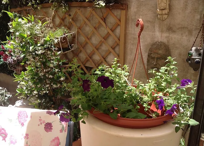 Simonetta Ai Musei Vaticani ローマ