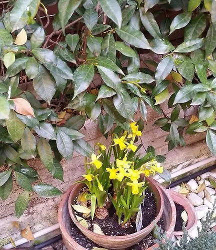 Simonetta Ai Musei Vaticani ローマ